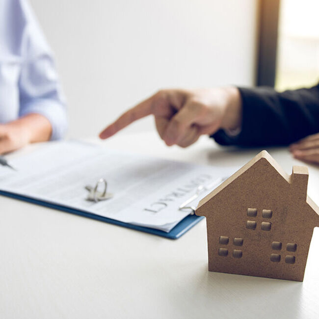 Bail type location ou colocation de logement nu (e)