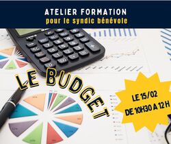 l'UNPI 38 aux cotés des syndics non professionnels