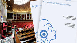 La loi (n2025-127) de finances pour 2025 enfin promulguée le 14 février 2025 et publiée au Journal 
